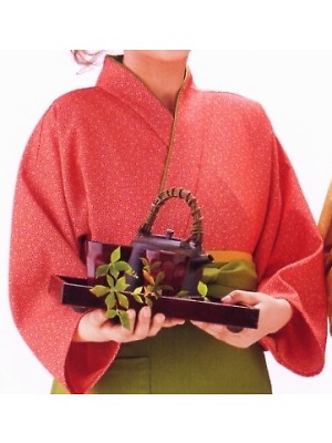 この着物のメイン写真